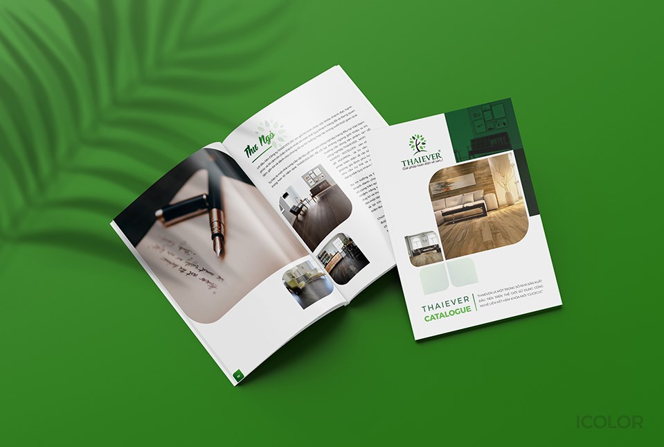 Yếu tố then chốt tạo lên một brochure chuyên nghiệp